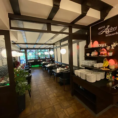 Altes Winzerhaus 호텔