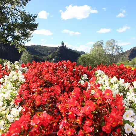 Altes Winzerhaus Otel Cochem