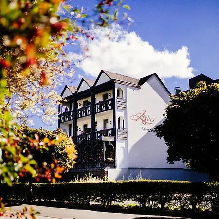 Otel Altes Winzerhaus