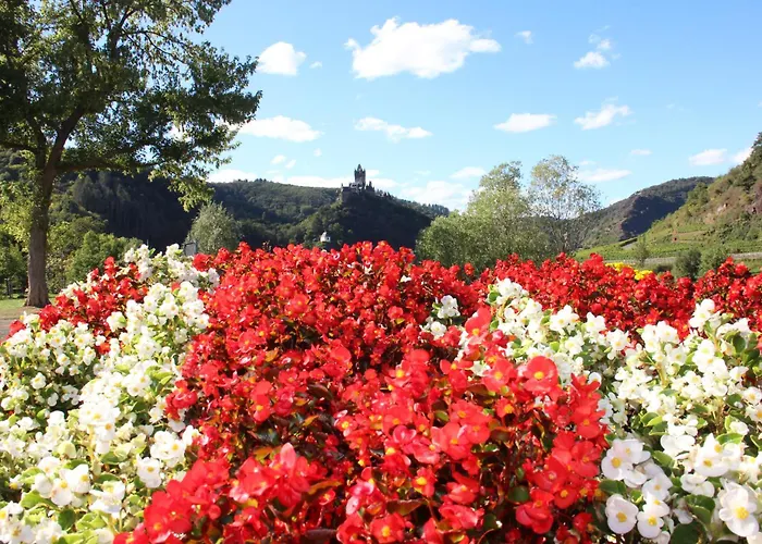 Altes Winzerhaus 酒店 科赫姆