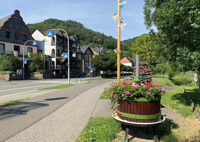 Altes Winzerhaus 3* 科赫姆