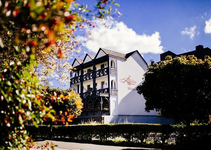 酒店 Altes Winzerhaus